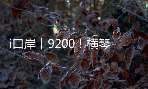 横琴货运核辐射监测执法协作