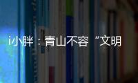 i小胖：青山不容“文明之垢”