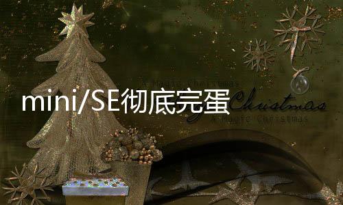 mini版手机没有双卡支持