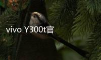 vivo Y300t官宣3月31日发布
：超长续航，超强性能